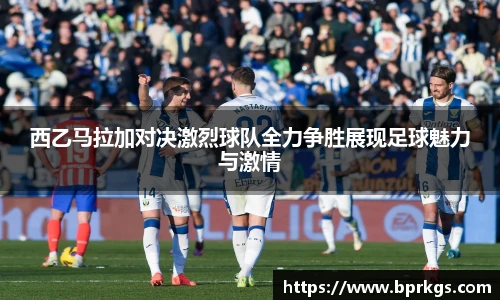 BB贝博